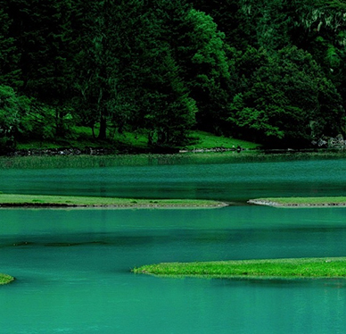 改性功能性材料